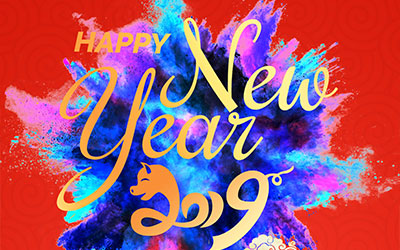 喜迎猪年，元旦快乐！